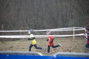 IMG_8001